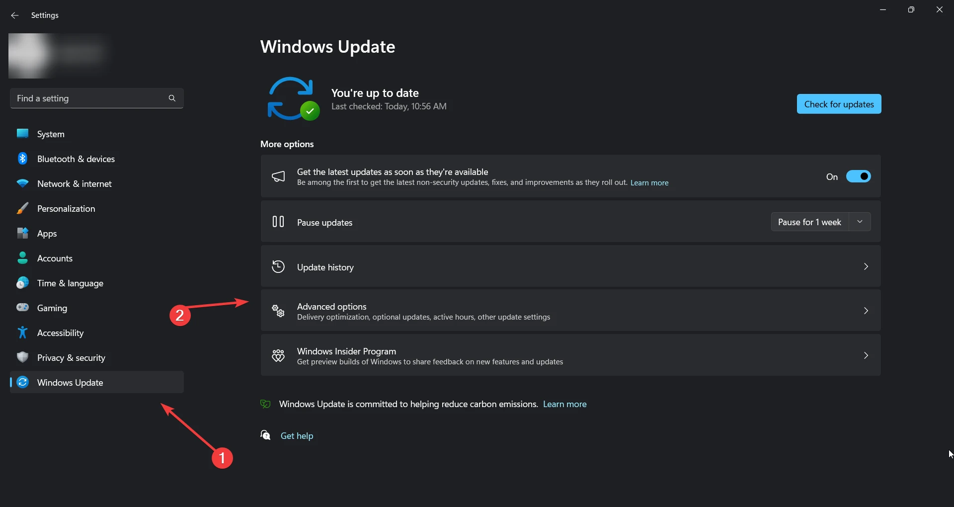 Windows Update and security option