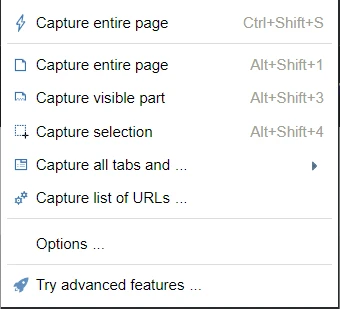 FireShot options