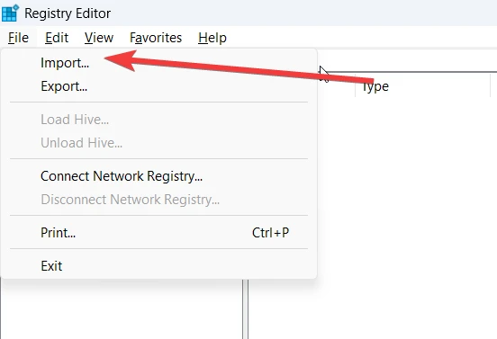 Import option for windows registry