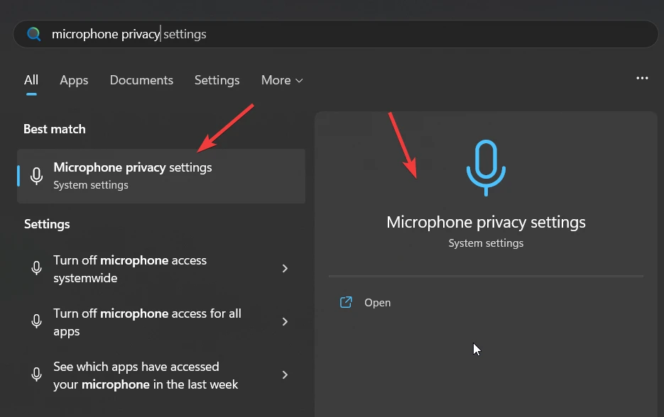 microphone privacy settings